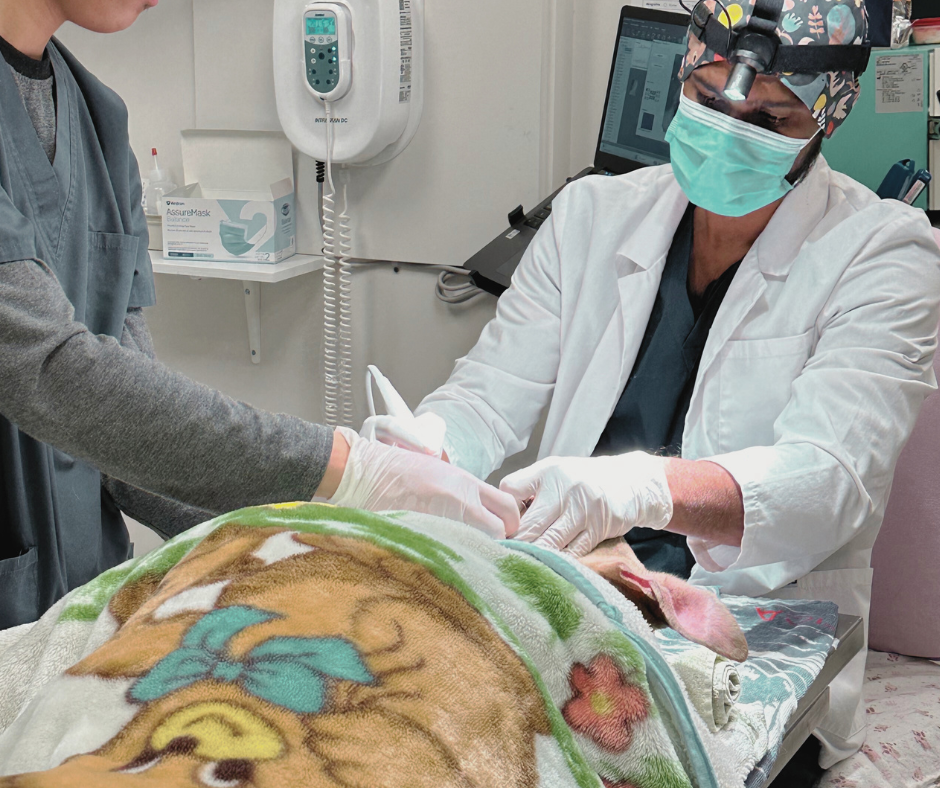Medical Services