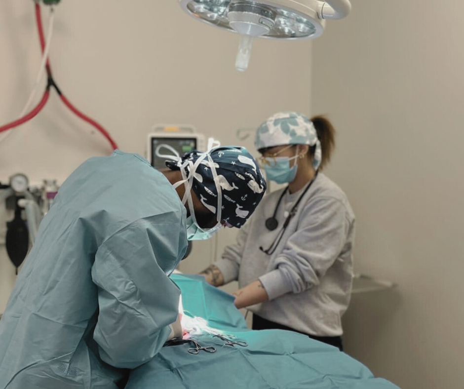 Surgical Services