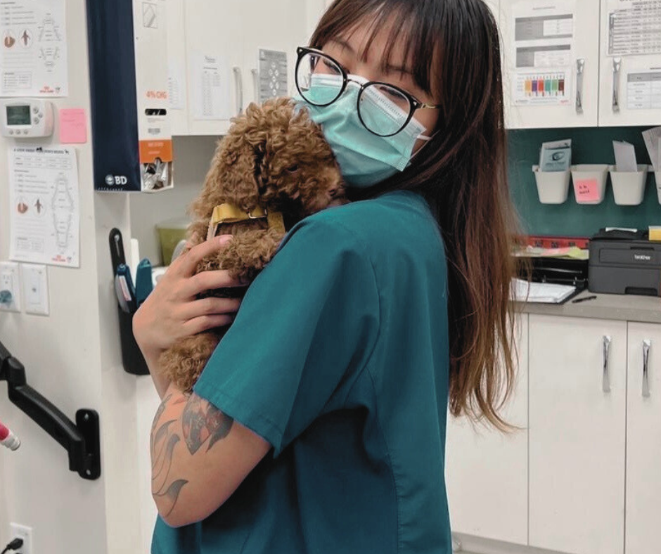 Pet Care Services