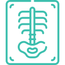 Digital X-ray